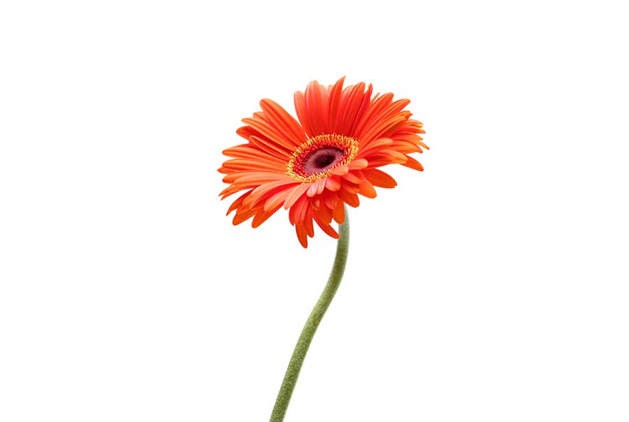 Trauerfloristik